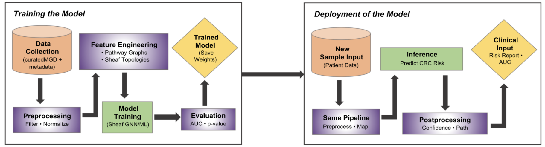 Early Colorectal Cancer Detection preview